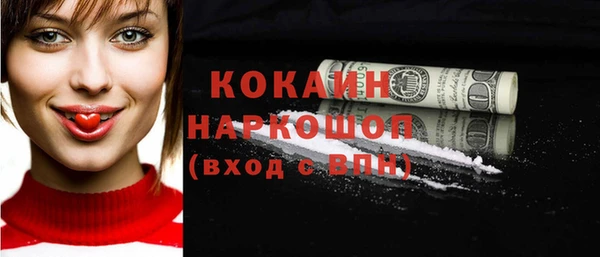 гашик Вязьма