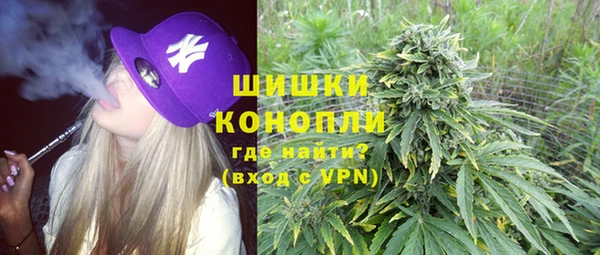 гашик Вязьма