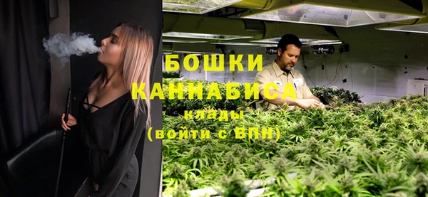 гашик Вязьма