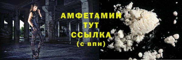 гашик Вязьма