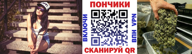 купить  цена  Мытищи  МАРИХУАНА план 